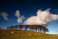 1205 Tideswell Moor Chris Gilbert, Ravenseye Gallery, Peak District, Photographs, Courses